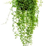 Tendencias Financieras Globales 2025: